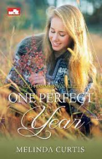 Image of One Perfect Year